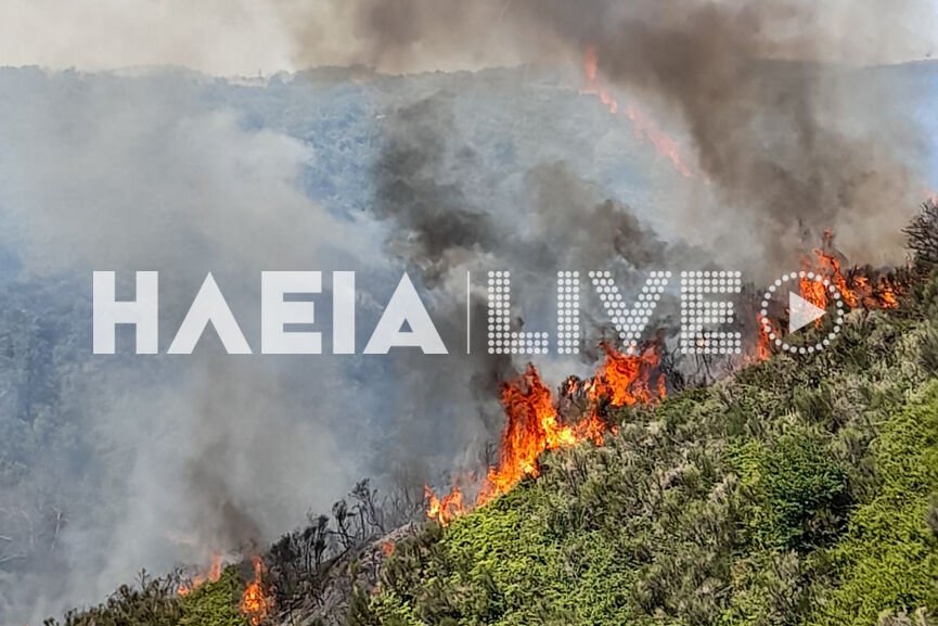 Φωτιά στην Ηλεία: Τραυματίστηκε πυροσβέστης - Ενισχύονται οι δυνάμεις
