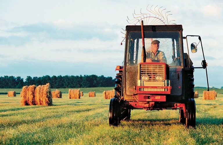 ΕΛΣΤΑΤ: Πώς κινήθηκαν αγροτικές αμοιβές και ενοικιάσεις γης το 2021