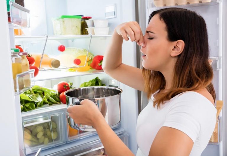 Καλοκαίρι: Πώς να διατηρήσετε ασφαλή τα τρόφιμα στη ζέστη και τι πρέπει να προσέχετε με το νερό