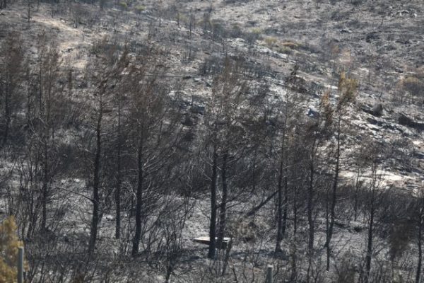 Φωτιά στην Πεντέλη: Αυτοψία για την καταγραφή των ζημιών από κλιμάκια της Περιφέρειας Αττικής