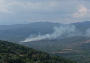 Αρκαδία: Φωτιά στην περιοχή Κακουραίικα