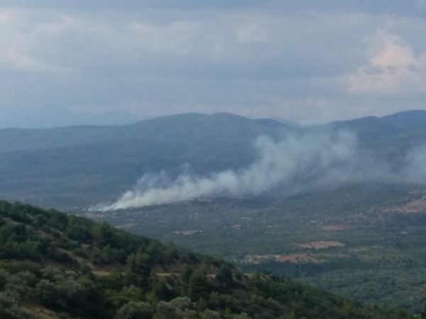 Αρκαδία: Φωτιά στην περιοχή Κακουραίικα