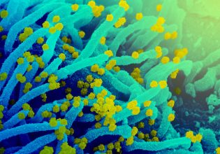 Δυο μήνες πρόβλεψη για τις νέες μεταλλάξεις του κοροναϊού