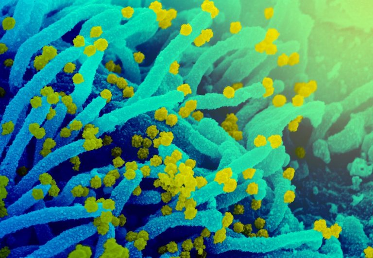 Δυο μήνες πρόβλεψη για τις νέες μεταλλάξεις του κοροναϊού