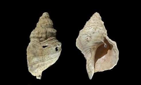 Αυτό το κοχύλι ηλικίας 18.000 ετών είναι το «αρχαιότερο πνευστό όργανο του είδους του» – ακούστε τον «στοιχειωμένο» του ήχο