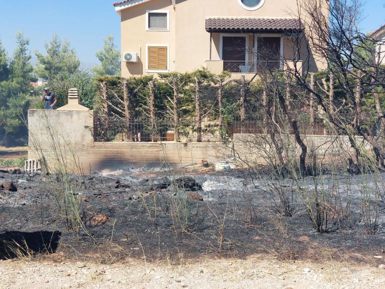 Μάχη με τις φλόγες έξω από σπίτια στη Διώνη