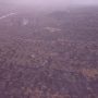 Αμφισσα: Βίντεο drone δείχνει την καταστροφή στον Παραδοσιακό Ελαιώνα της Αμφισσας