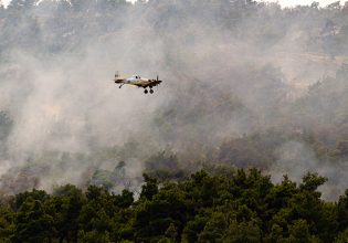 Φωτιά στη Δαδιά: Οκτώ μέρες μάχης με τις φλόγες – Ξεκίνησαν οι ρίψεις νερού