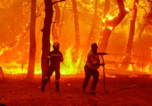 Πύρινος εφιάλτης σε Λέσβο, Έβρο και Μεσσηνία – Σηκώθηκαν το πρωί τα εναέρια μέσα