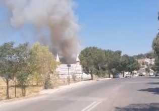 Φωτιά κοντά στο γήπεδο Πανοράματος στη Φυλή