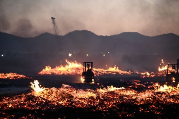 Φωτιά: Υψηλές θερμοκρασίες και ξηρές κλιματολογικές συνθήκες το εκρηκτικό κοκτέιλ για τις πυρκαγιές
