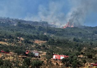 Μεγάλη φωτιά στο Ποικίλο Όρος – Συναγερμός στην Πυροσβεστική