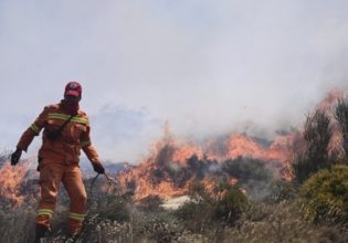 Σάμος: Οριοθετήθηκε η μεγάλη φωτιά – Συνεχίζονται οι εναέριες επιχειρήσεις