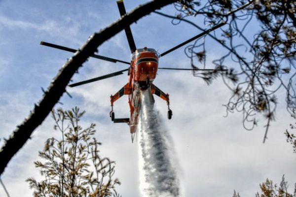 Ηλεία: Φωτιά σε δασική έκταση στην περιοχή Ροδιά