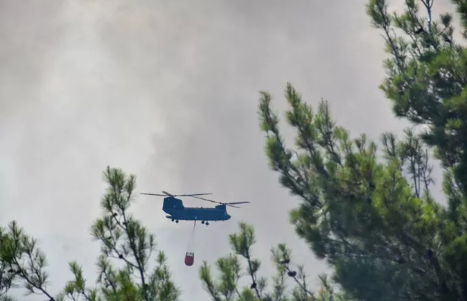 Φωτιά στον Έβρο: Μεγάλη μάχη στο νοτιοδυτικό μέτωπο – «Έχουν καεί περίπου 15 χιλ. στρέμματα»