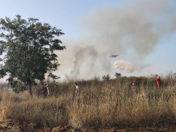 Συναγερμός στην Πυροσβεστική: Πυρκαγιά στη Ροδόπη