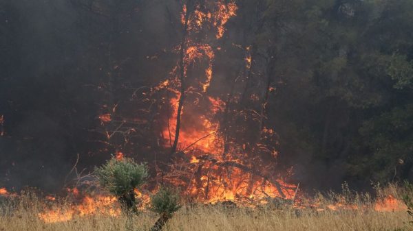 Συναγερμός στην Πυροσβεστική: Φωτιά στην Κορινθία