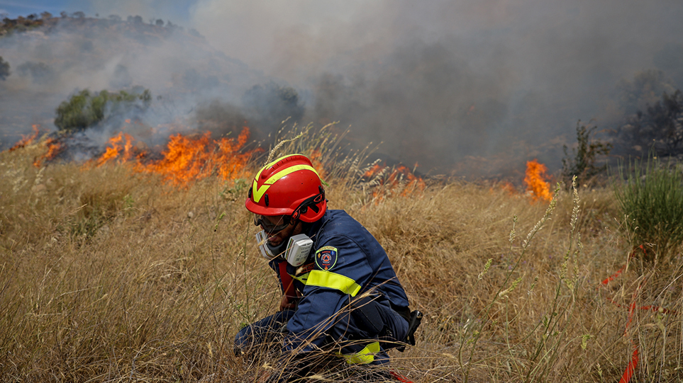 Φωτιά στην Καλλιθέα Πάτρας: Μαίνεται η πυρκαγιά στον Δήμο Ερυμάνθου - Θα είναι μακρύ το βράδυ