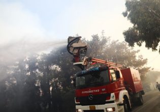 Πυρκαγιά στη Δαδιά: Δείτε live την ενημέρωση