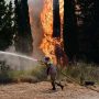 Φωτιά: Μάχη της πυροσβεστικής σε τρία μέτωπα – Πυρκαγιά σε Αττική, Εύβοια, Ηλεία