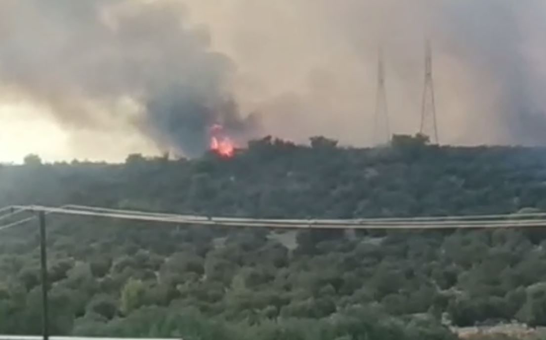 Φωτιά στη Μάνδρα: Ισχυρές δυνάμεις της πυροσβεστικής στο σημείο - Επιχειρούν και καναντέρ