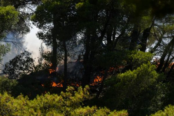 Φωτιά: Αττική και Κρήτη σε πορτοκαλί συναγερμό την Κυριακή – Σε επιφυλακή άλλες τρεις περιφέρειες