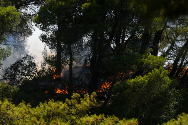 Φωτιά: Αττική και Κρήτη σε πορτοκαλί συναγερμό την Κυριακή - Σε επιφυλακή άλλες τρεις περιφέρειες