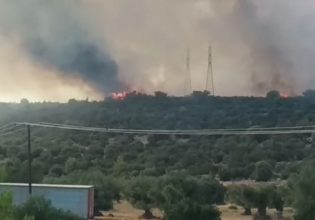Φωτιά στη Μάνδρα Αττικής: Μεγάλη κινητοποίηση της Πυροσβεστικής