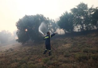 Υπό έλεγχο η πυρκαγιά στην περιοχή Ρούτσι της Μεγαλόπολης
