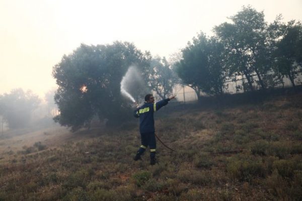 Υπό έλεγχο η πυρκαγιά στην περιοχή Ρούτσι της Μεγαλόπολης