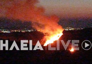 Φωτιά στον Πύργο Ηλείας: Σπεύδουν πυροσβεστικές δυνάμεις