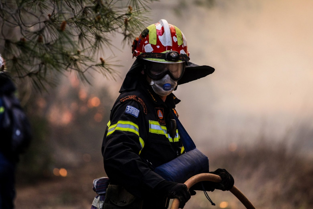 Συναγερμός για φωτιά στα Στύρα Ευβοίας - Στο σημείο επίγειες δυνάμεις της Πυροσβεστικής