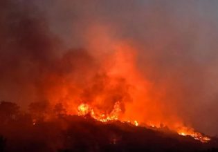 Σάμος:  Μάχη να περιοριστεί το πύρινο μέτωπο