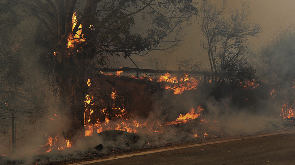Φωτιές: Ανεξέλεγκτη η φωτιά σε Αχαΐα και Ηλεία – Νέο μήνυμα 112 για εκκένωση χωριών | e-sterea.gr