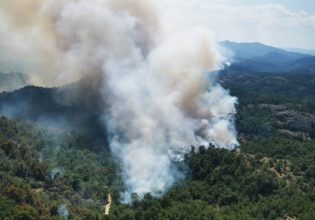 Αμυράς: Πάρα πολύ δύσκολη η έρπουσα φωτιά στη Δαδιά – Δεν έχει πειραχτεί το 30% της βλάστησης στο μέτωπο