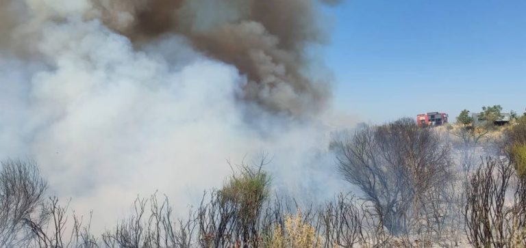 Προσαγωγή υπόπτου για τη φωτιά στην Ηλεία