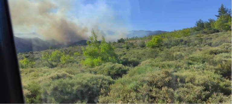 Υψηλός κίνδυνος πυρκαγιάς τις επόμενες ώρες