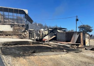 Παλλήνη: Στο Ολυμπιακό Κέντρο Ιππασίας Μαρκοπούλου φιλοξενούνται τα άλογα που γλίτωσαν από τη φωτιά