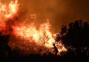 Φωτιά: Επείγουσα εισαγγελική έρευνα για τις πυρκαγιές σε Πεντέλη, Ανθούσα, Γέρακα, Παλλήνη, Ντράφι και Μέγαρα