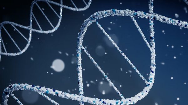 Παραλλαγή «Κένταυρος»: Τι γνωρίζουμε και τι όχι για το νέο στέλεχος