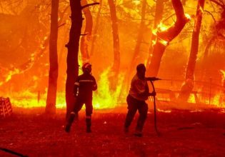 Φωτιά: Πώς διαμορφώνονται τα πύρινα μέτωπα σε Έβρο, Μυτιλήνη και Ηλεία