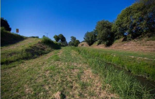 Ο Δήμος Τρικκαίων πρασινίζει τα ποτάμια του