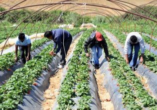 ΚΕΕΡΦΑ: Καταγγέλλει ξυλοδαρμό μετανάστη εργάτη γης στο Άργος από τον εργοδότη του