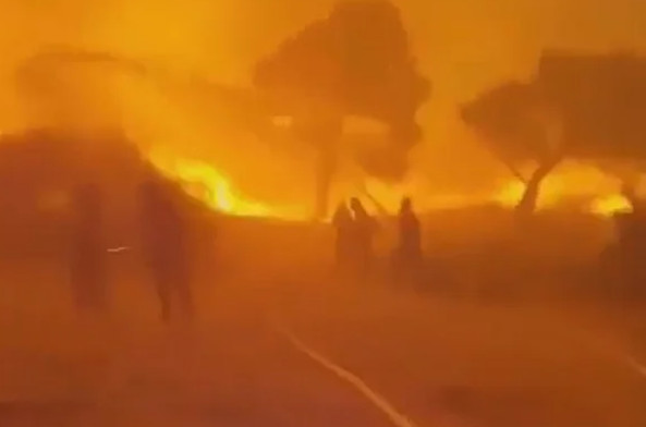 Φωτιά στην Πεντέλη: Η τιτάνια μάχη πυροσβεστών με τις φλόγες – Εικόνες αποκάλυψης
