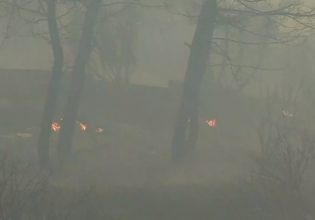 Φωτιά στα Μέγαρα: Νέο μήνυμα 112 για εκκένωση του οικισμού Παπαγιαννέϊκα