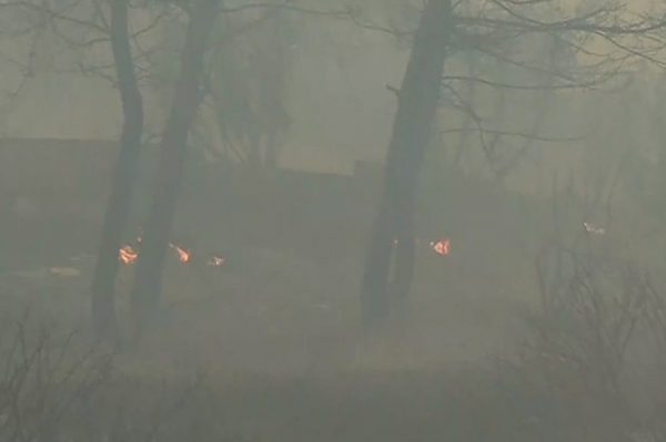 Φωτιά στα Μέγαρα: Νέο μήνυμα 112 για εκκένωση του οικισμού Παπαγιαννέϊκα
