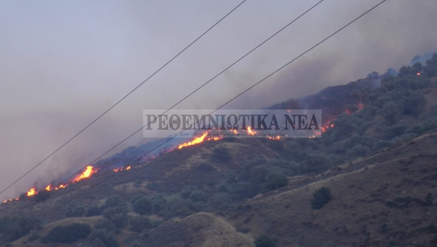 Φωτιά στο Ρέθυμνο: Αναζωπύρωση στον Δήμο Αγίου Βασιλείου λόγω των ισχυρών ανέμων