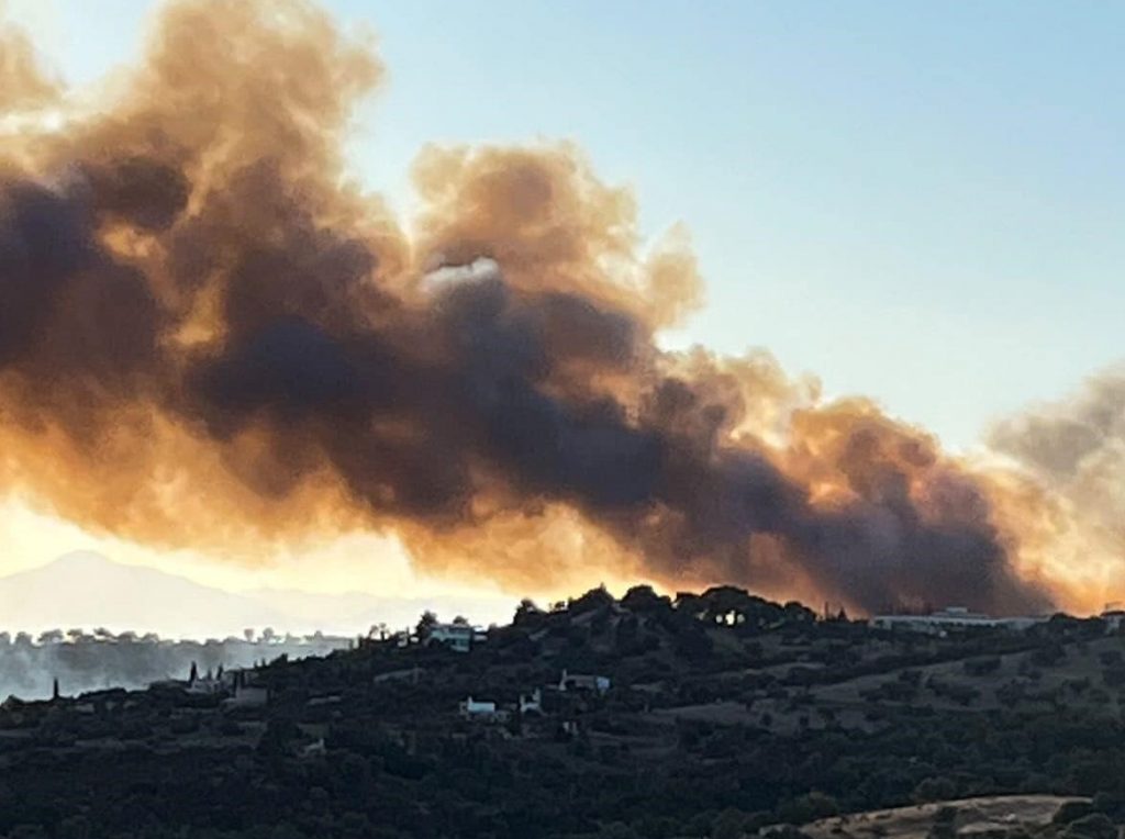 Φωτιά: Μεγάλη πυρκαγιά στο Κρανίδι Αργολίδας