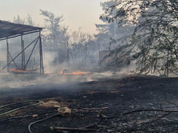 Φωτιά: Κρανίου τόπος η Παλλήνη – Στη μάχη με τις φλόγες και η αστυνομία με τον στρατό