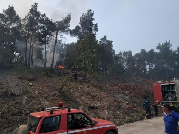 Φωτιά στον Έβρο: Νέα αναζωπύρωση στα βόρεια της Δαδιάς – Ηρωική μάχη δίνουν οι πυροσβέστες